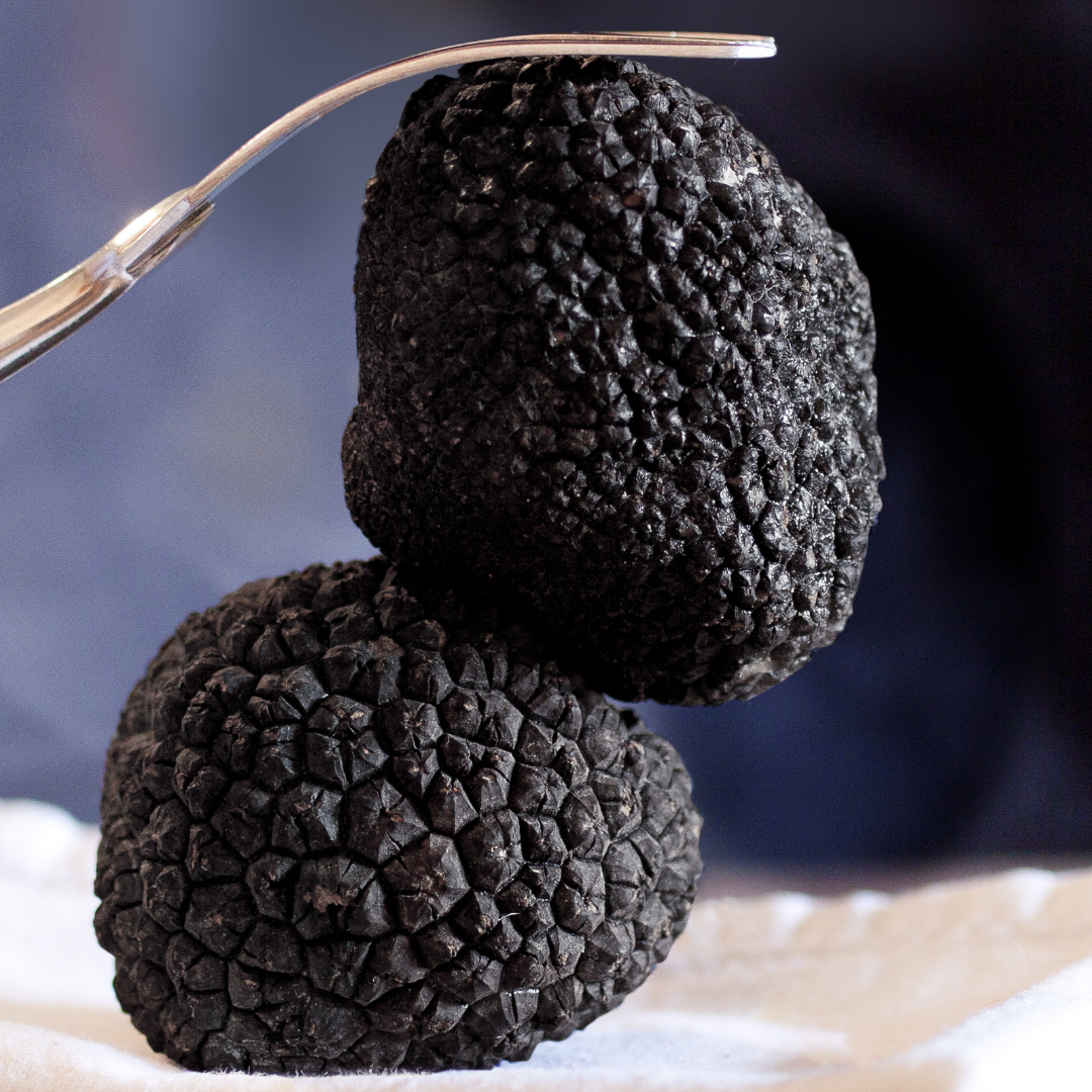 Truffe d’Alba