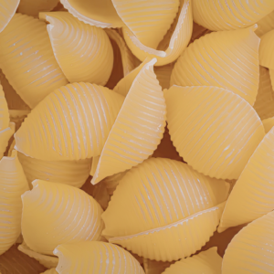 Conchiglioini